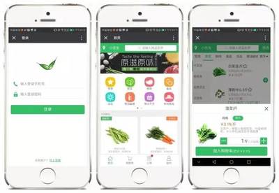 【观麦案例】田鲜配 专业系统，铸就更强竞争力——麦享科技赋能企业升级